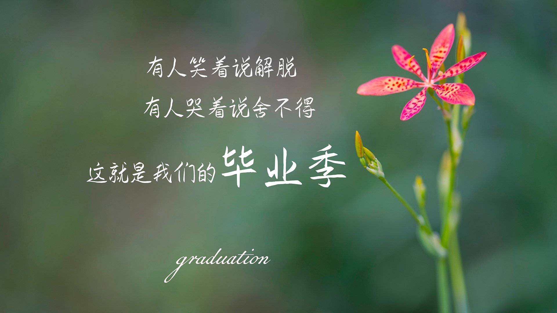 世界俱乐部杯在线观看-梅西荣获美职联MVP，继续闪耀，“梅西”