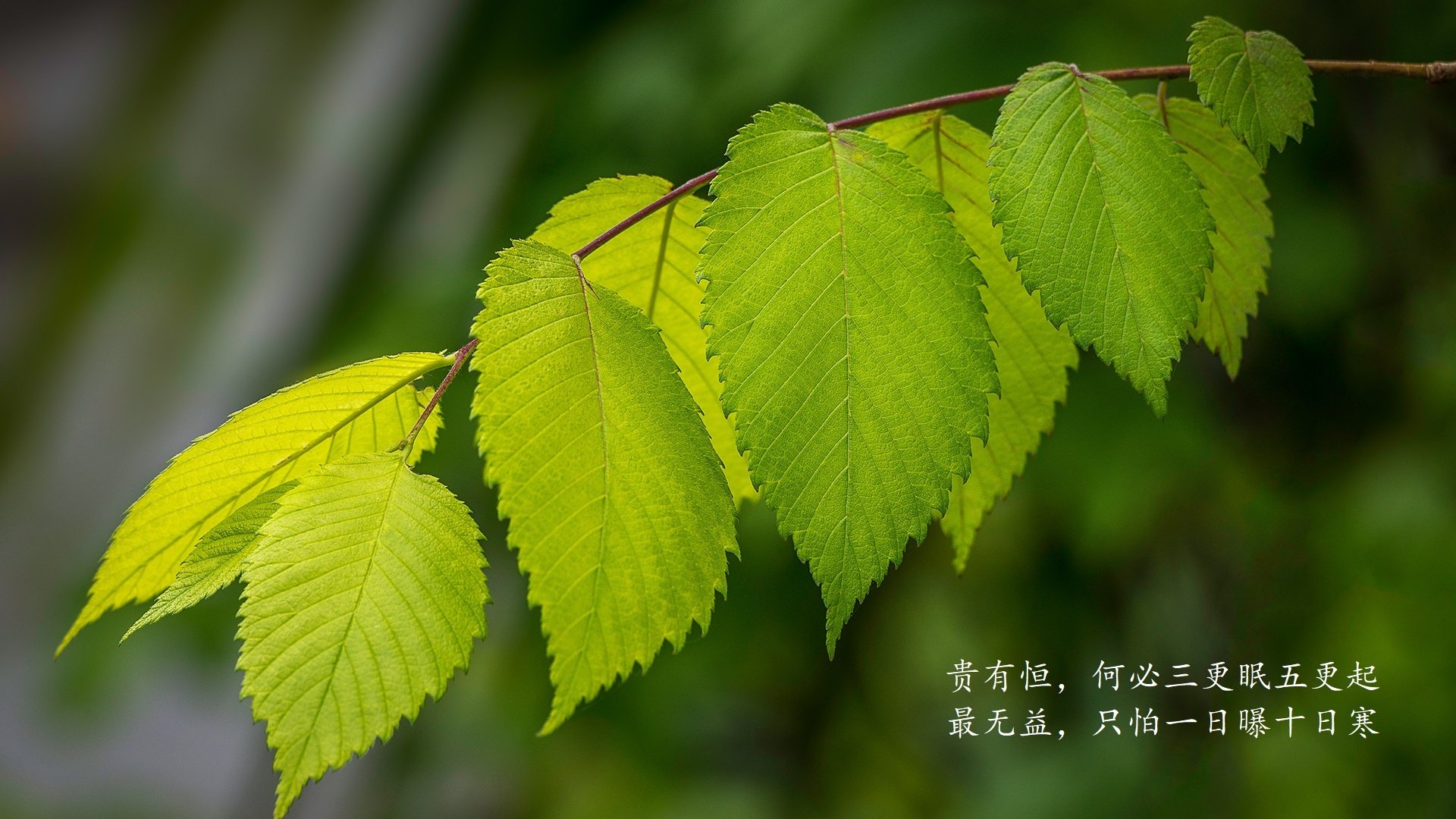 2025世俱杯赛程表比赛时间-伯明翰城主场告捷，保住前进动力！，伯明翰city university