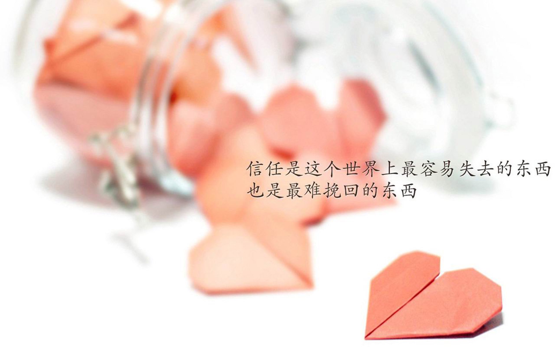 好戏连台：澳大利亚女足队傲视群雄，澳大利亚女足晋级之路