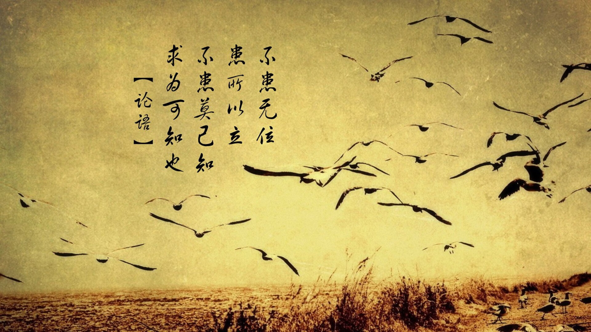 热火力克雄鹿，系列赛焦点战中巴特勒砍下47分，热火队巴特勒交易