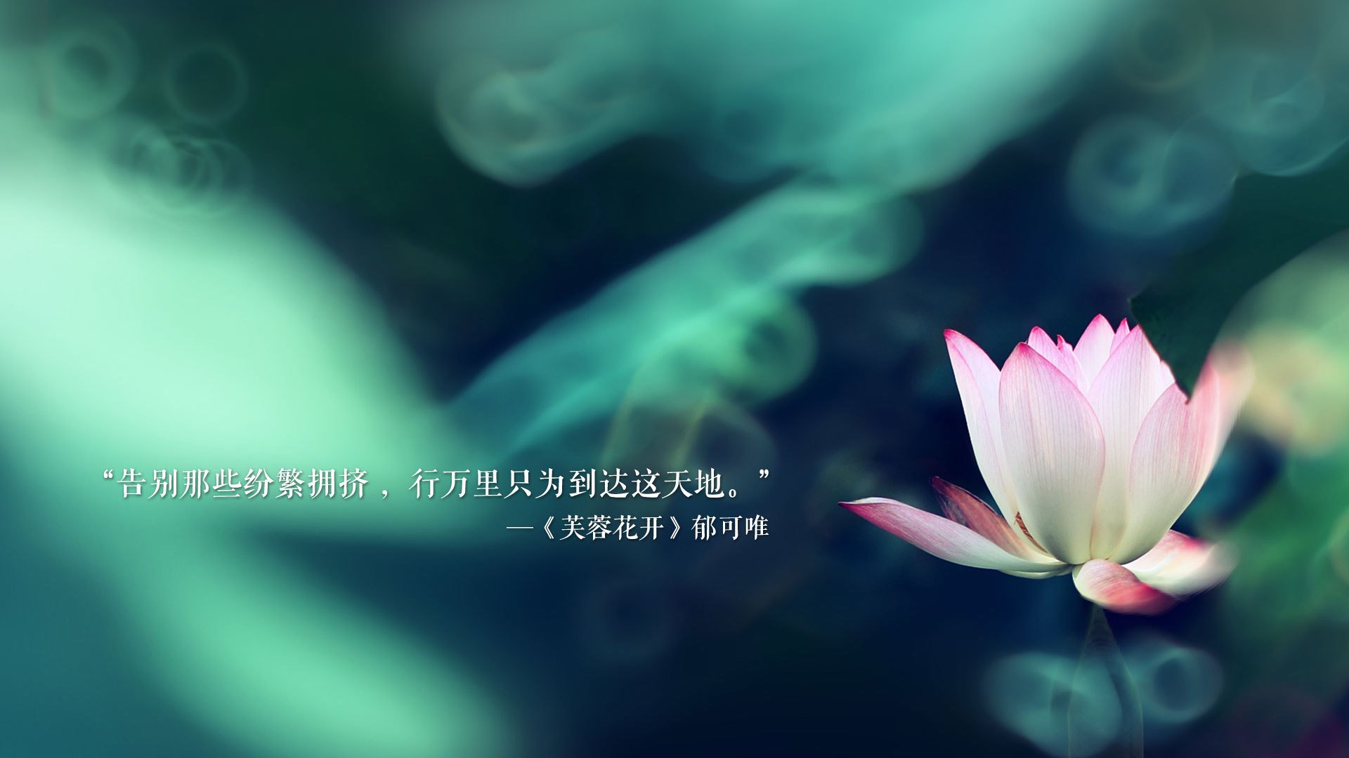 阿尔梅里亚客场战胜强敌，晋级积分榜前列，阿尔梅里亚主教练