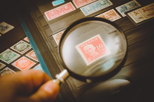 2025世俱杯赛程表-西甲裁判语义风险评估系统辅助复杂场面决策制定，西甲裁判数据