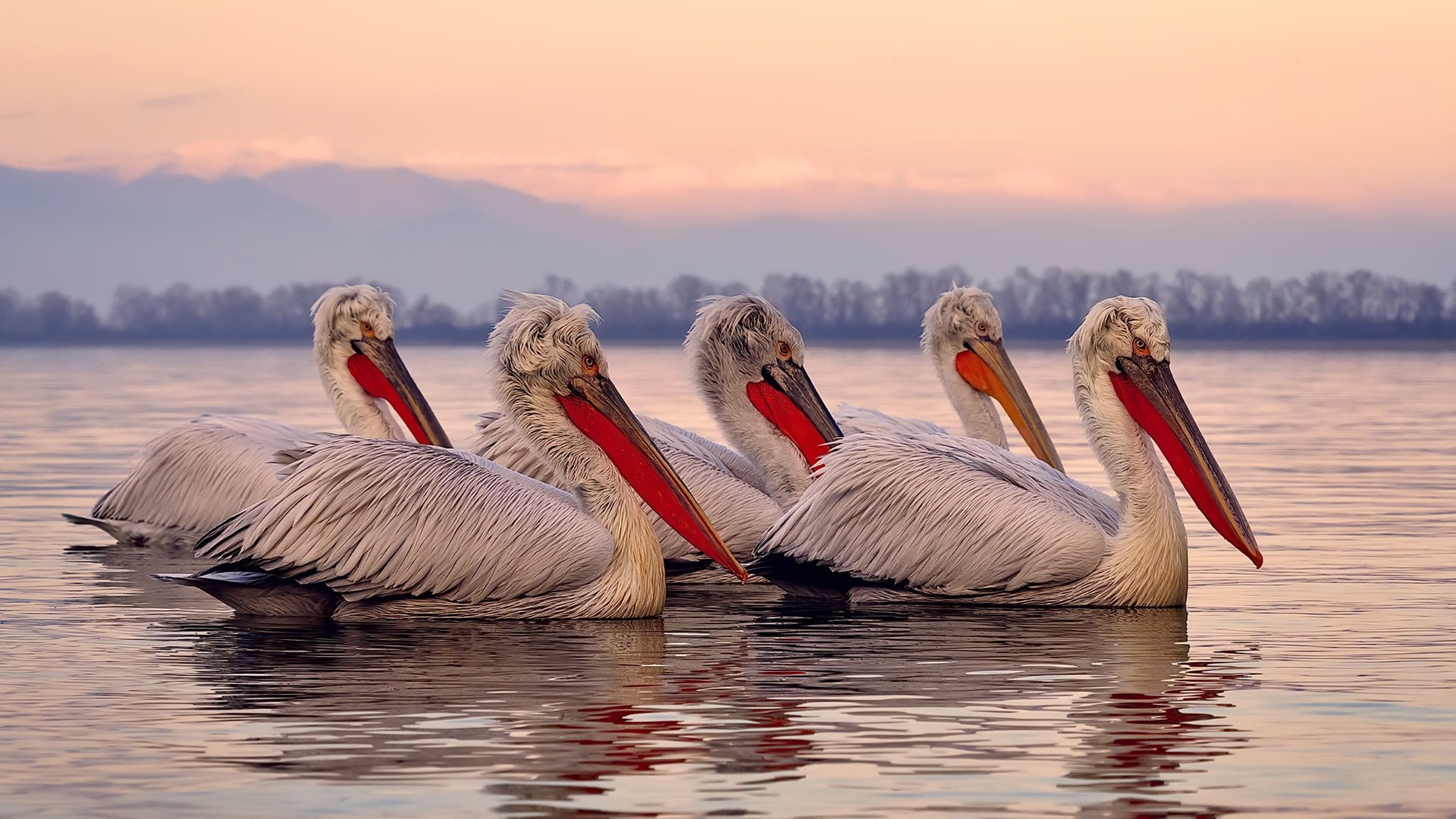 男子国家队建立科学饮食与恢复体系保障球员健康