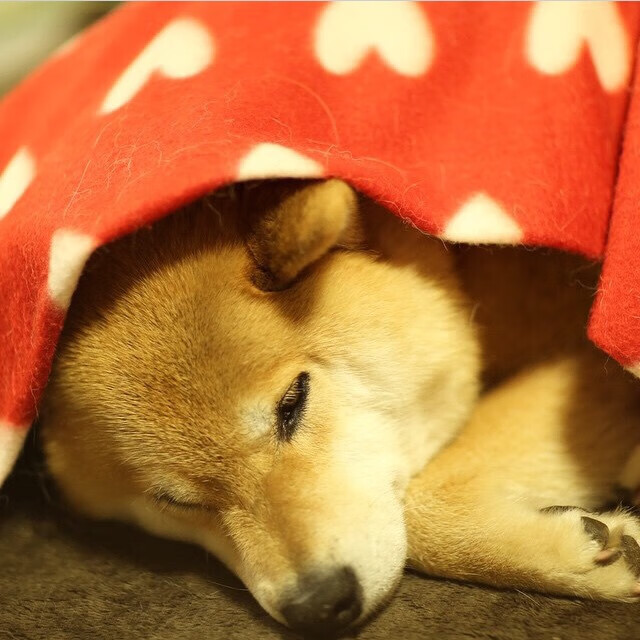 达里尔·基：他用无与伦比的防守意识和突破能力成为全黑队的中场屏障